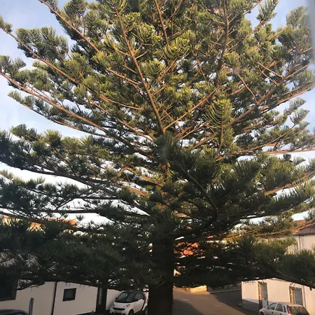 Santa Cruz מלון